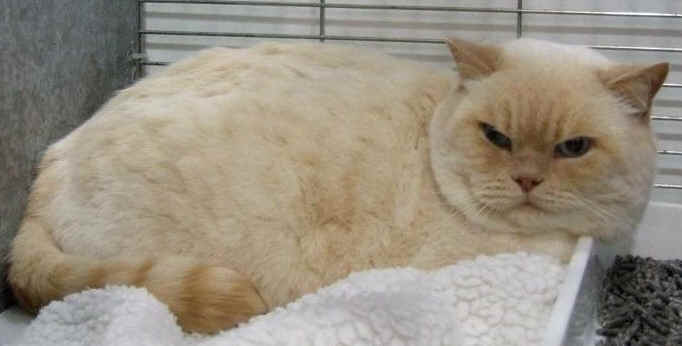 morsecoventry12.jpg (50341 bytes)